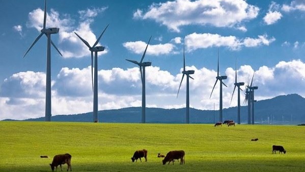 Enerji ithalatını Rüzgar Kıracak