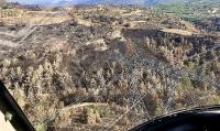 ELTEMTEK Ormanlık Alanda TEİAŞ'a Ait Hatların Helikopterle Denetimine Başladı
