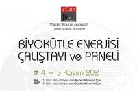 TÜBA Biyokütle Enerjisi Çalıştayı ve Paneli 4-5 Kasım'da Gerçekleştirilecek