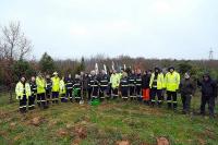 Tüpraş 4 İlde 100 Bin Fidanı Toprakla Buluşturdu