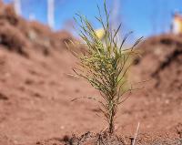 Uludağ Elektrik Dijitalleşme Çalışmalarıyla Doğaya Katkı Sağlıyor