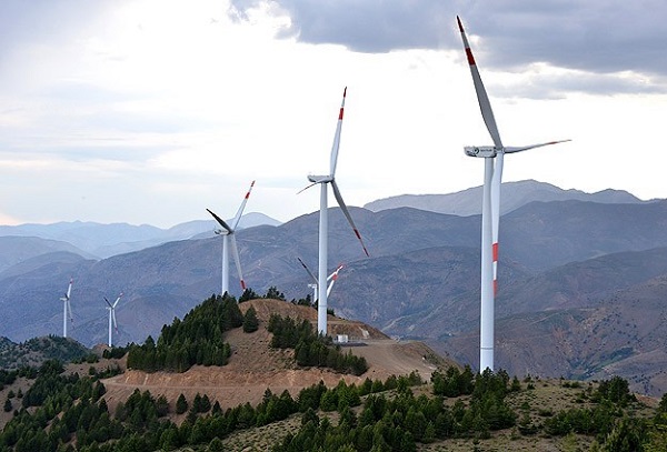 Rüzgar Enerji Santralleri için 2 Bin Ağaç Kesilecek