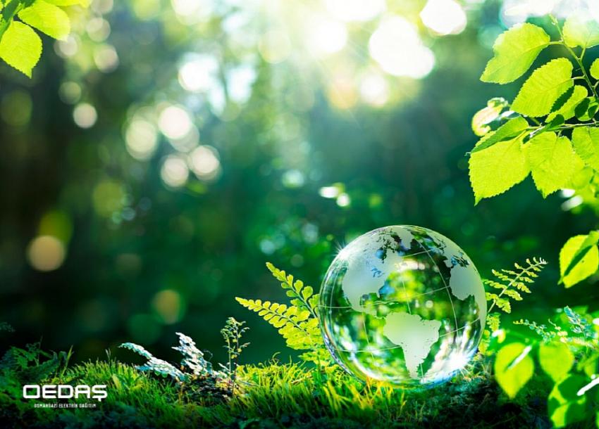 OEDAŞ'a CDP'den Tam Not